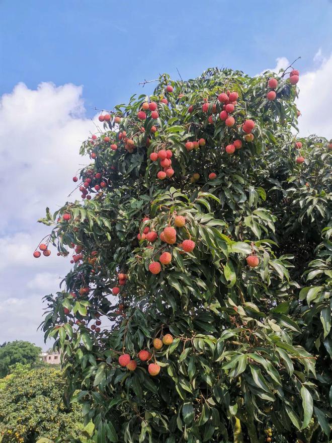 图片6.jpg 图片6.jpg